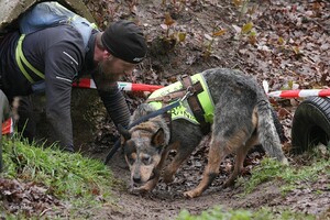 Dakota hondenschool jaar 2024