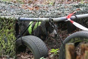 Yada: hondenschool jaar 2022