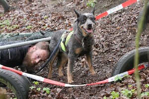 Yada: hondenschool jaar 2022