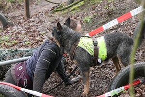 Yada: hondenschool jaar 2022