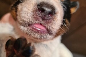 Ogen zijn al een beetje open