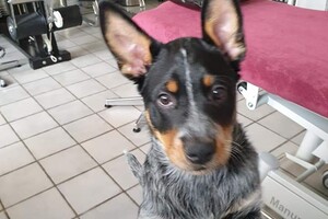 Ben ik dat?? En kom dat daarna bij het "baasje" vragen of dat waar Is!!