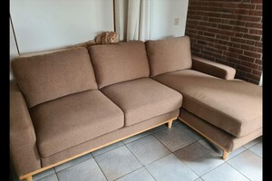 Hayco (kater): het begin 12 mei 2021