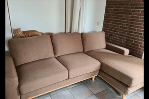 Hayco (kater): het begin 12 mei 2021