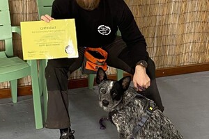 Silver: eerste detectie les