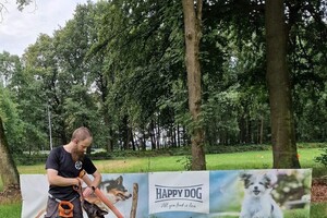 Bucky: hondenschool jaar 2022