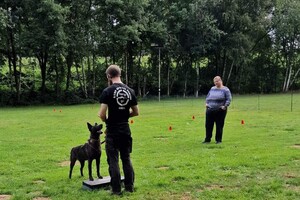 Bucky: hondenschool jaar 2022