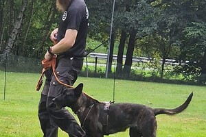 FCI obedience workshop dag