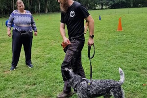 Silver: hondenschool jaar 2022