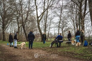 Silver: hondenschool jaar 2022