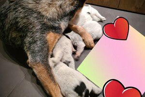 Ogen zijn al een beetje open