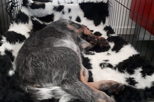 Weltrusten, zware dag