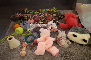 Alle kraamvisite is geweest 