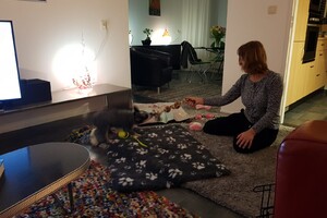 Avond stoeien voor het slapen 