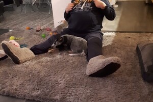 Gekke momenten met de puppy