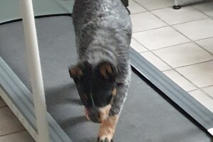 Binnen verder sporten 