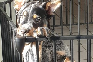 Nog even en hij komt vanzelf wel eruit! 