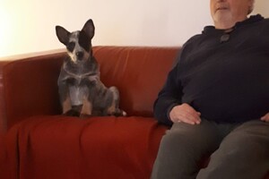 Na goed luisteren en spelen: samen tv kijken. 