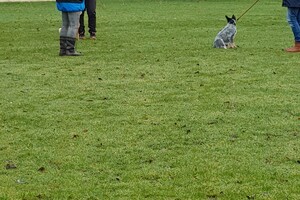 Ava Kira: Prive les, 2e les