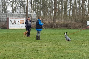 Ava Kira: Prive les, 2e les