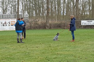 Ava Kira: Prive les, 2e les