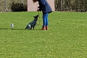 Ava Kira: Prive les, 3e les