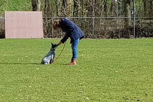 Ava Kira: Prive les, 3e les