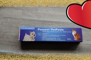 Clémentine (poes): het begin