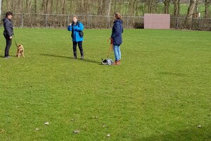 Ava Kira: Prive les, 4e les