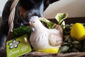 (4 april) Vrolijk Pasen!