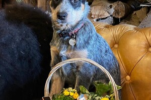 (4 april) Vrolijk Pasen!