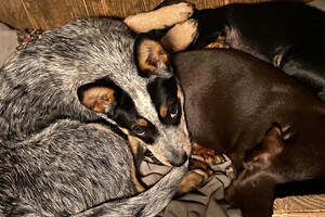 17 maart: met Fiep en Cato