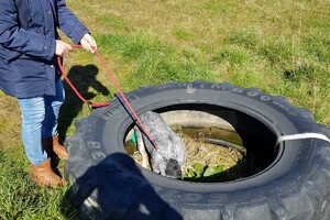 Ava Kira: eigen training