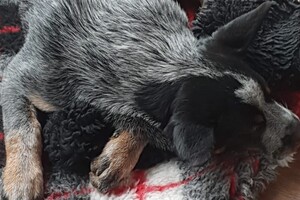 zwaar leven, zoals je ziet: wisselen is begonnen.