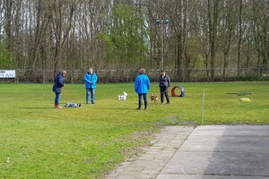 Ava Kira: Prive les, 6e les