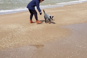 Ava Kira: Pasen aan zee