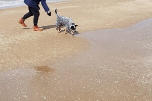 Ava Kira: Pasen aan zee
