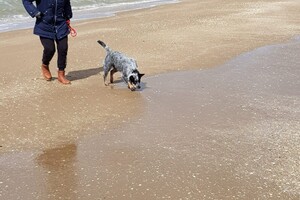 Ava Kira: Pasen aan zee