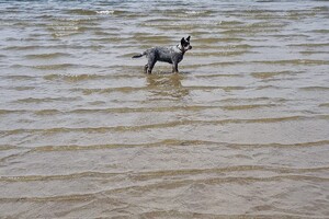 18 april: Rockanje, de grote zee even uitleven