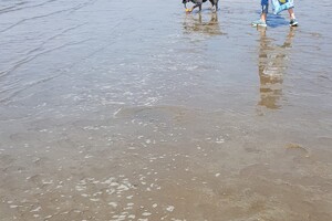 18 april: Rockanje, de grote zee even uitleven