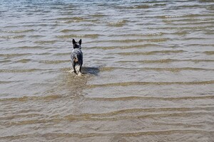 18 april: Rockanje, de grote zee even uitleven