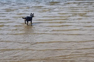 18 april: Rockanje, de grote zee even uitleven