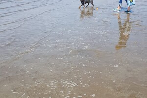 18 april: Rockanje, de grote zee even uitleven
