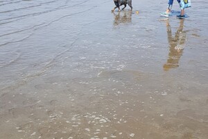 Ava Kira: Rockanje, de grote zee