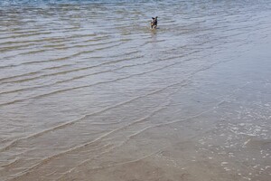 18 april: Rockanje, de grote zee even uitleven