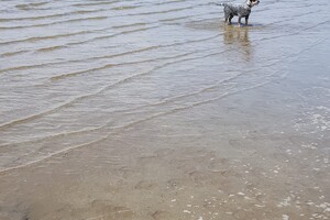 18 april: Rockanje, de grote zee even uitleven