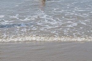 Ava Kira: Dagje Hoek van Holland