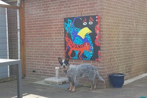 Ava Kira: Mijn baasje schildert