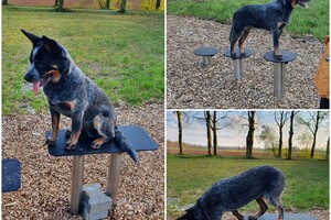 Ezran Dundee: thuis training