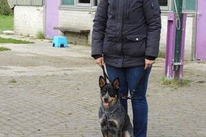 Soran Bart: puppycursus geslaagd